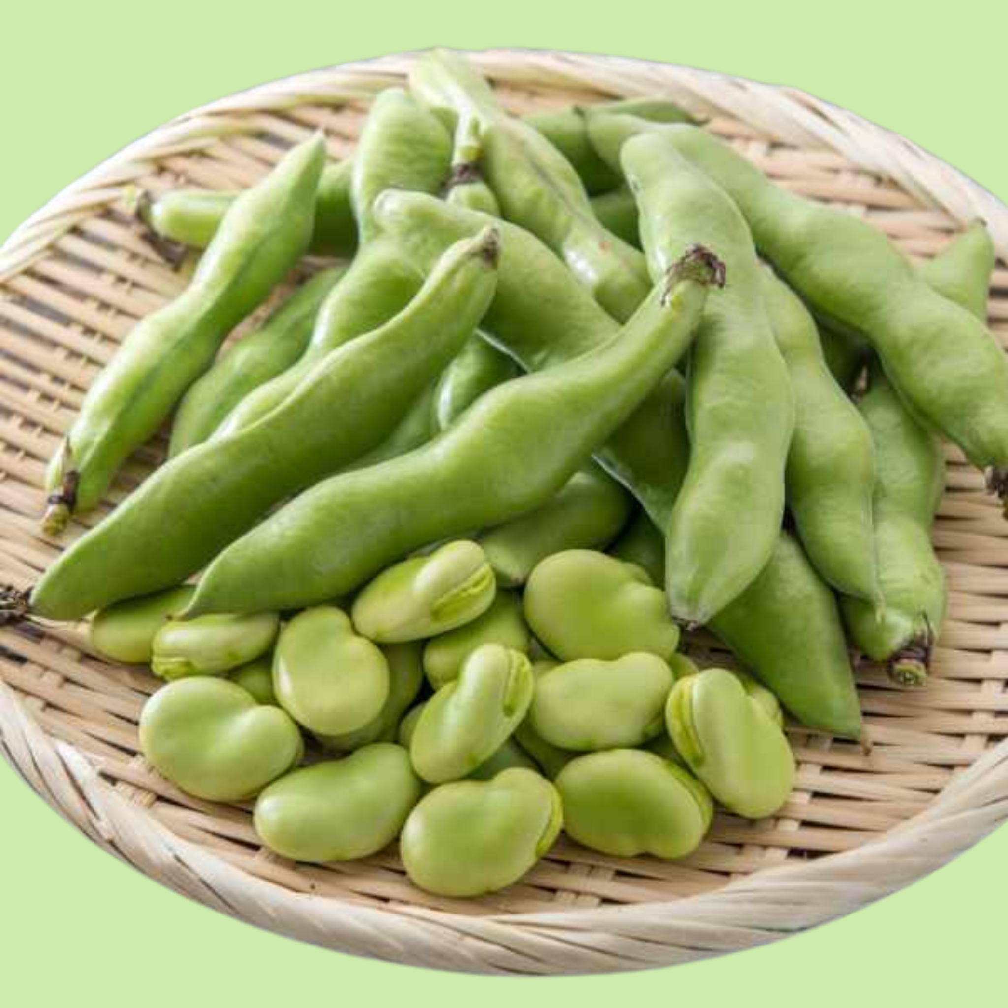Beans Broad - 500g