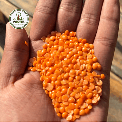 Masoor Dal Lal (Red Lentil Split) - 1 Kg