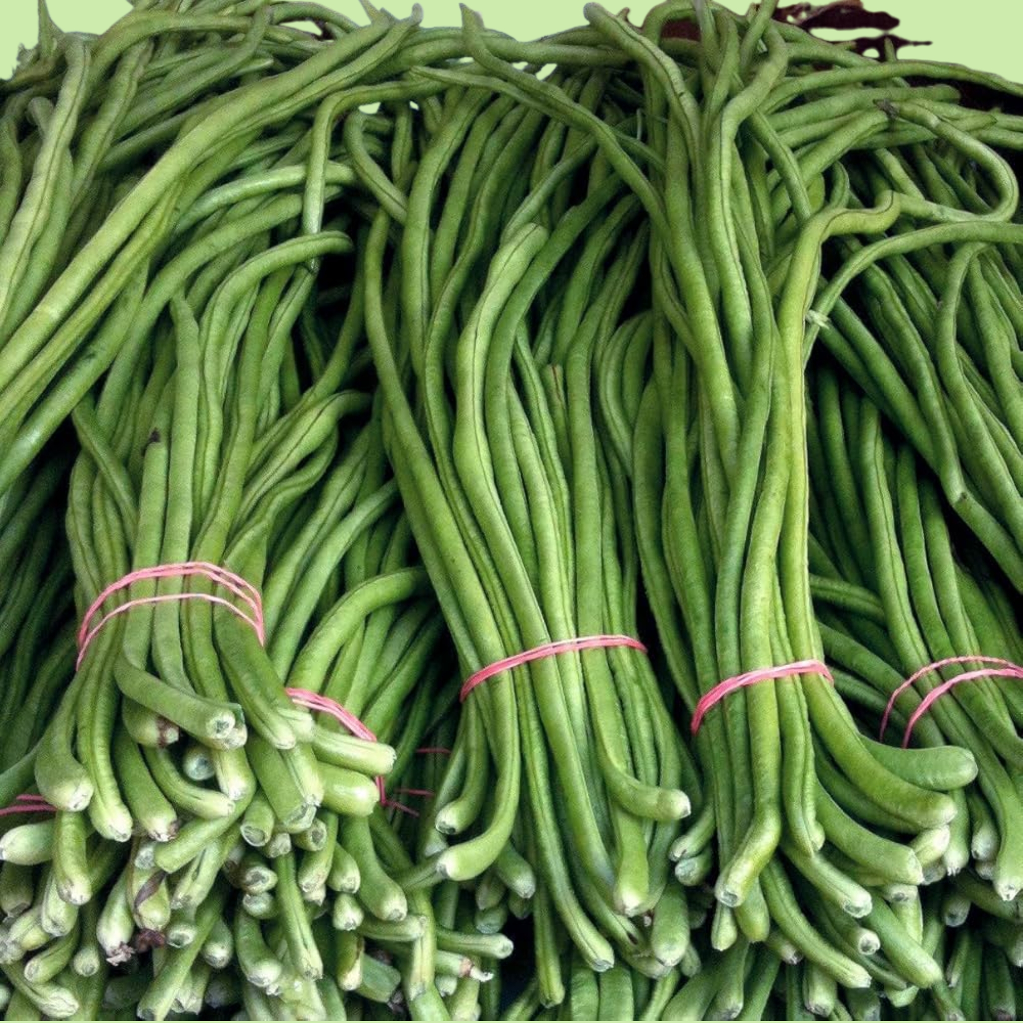 Beans Cowpea - 500g
