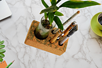 Cork Planter Cum Pen Holder
