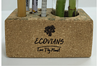 Cork Planter Cum Pen Holder