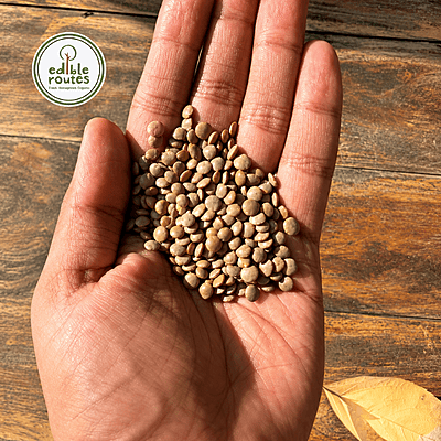 Masoor Sabut Dal (Black Lentil Whole)- 1 Kg