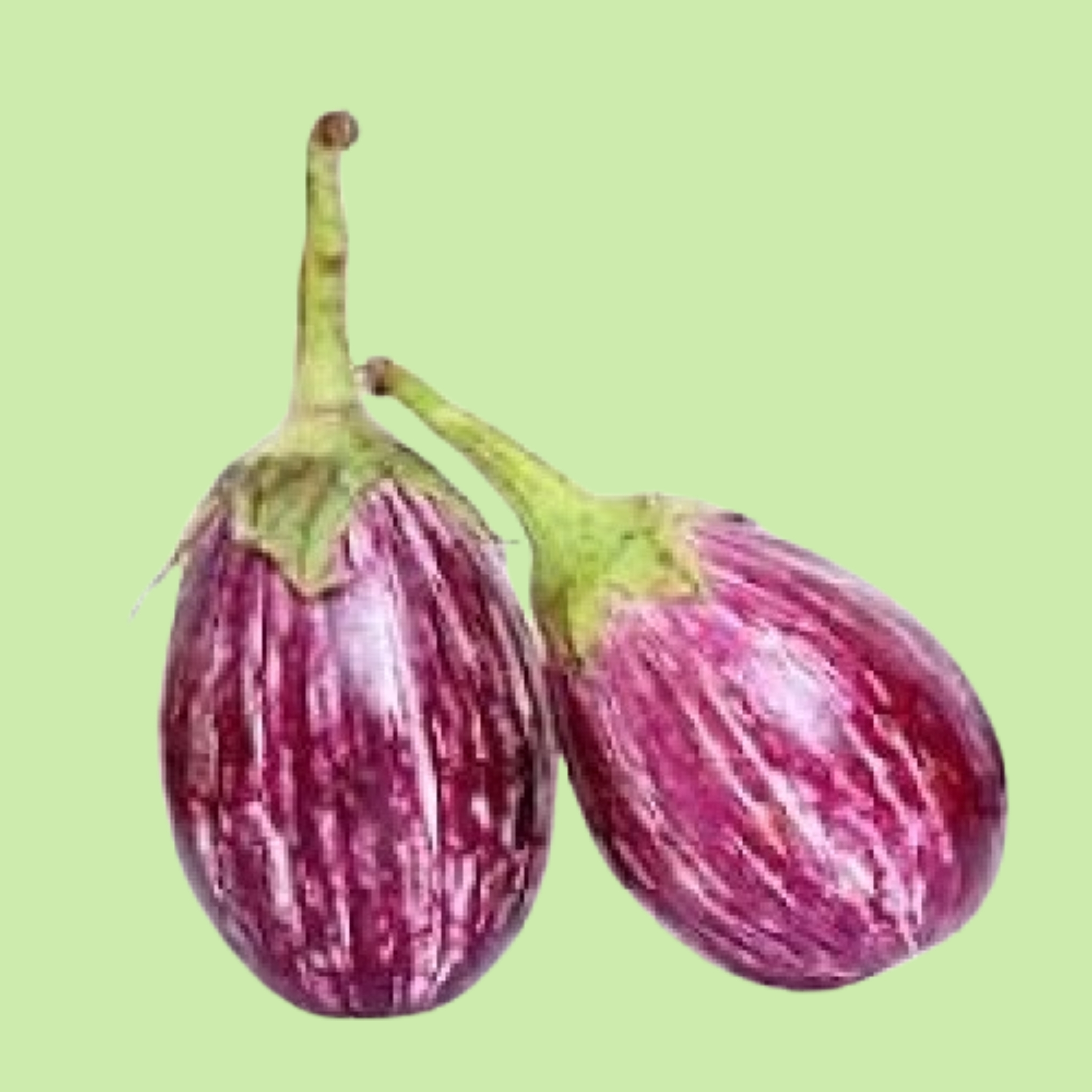 Brinjal Small Purple - 250g