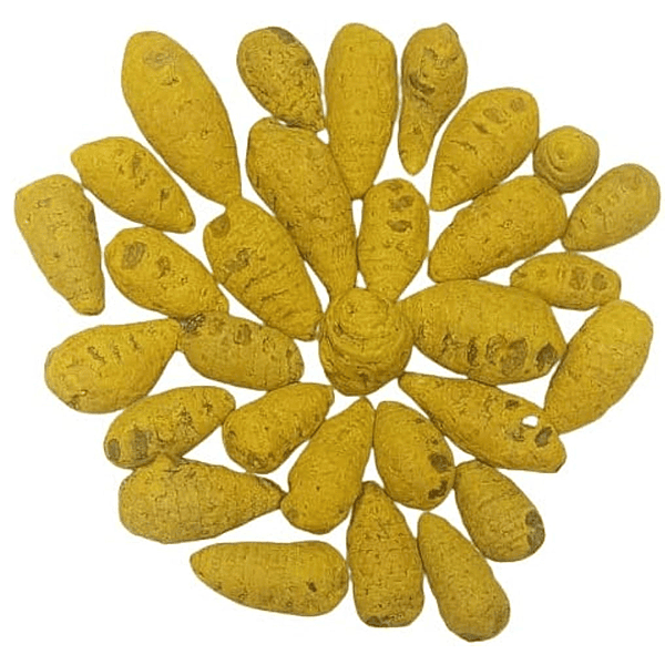 Nieedumanjal(Turmeric)