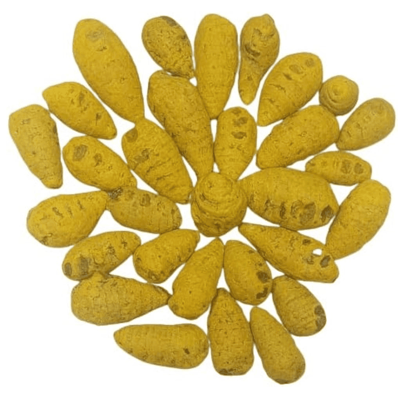 Nieedumanjal(Turmeric)