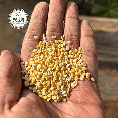 Yellow Moong Dal Dhuli (Green Gram Split De-Husked) - 1 Kg