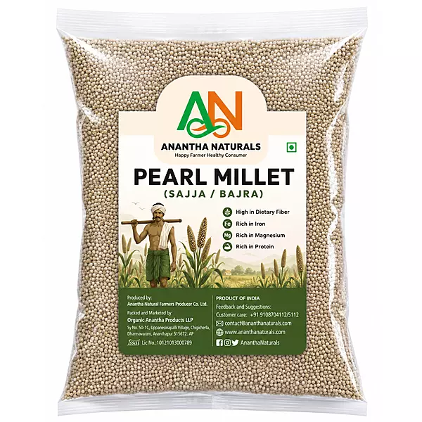 Pearl Millet (Sajja,Bajra)