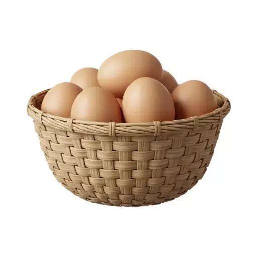 EGG