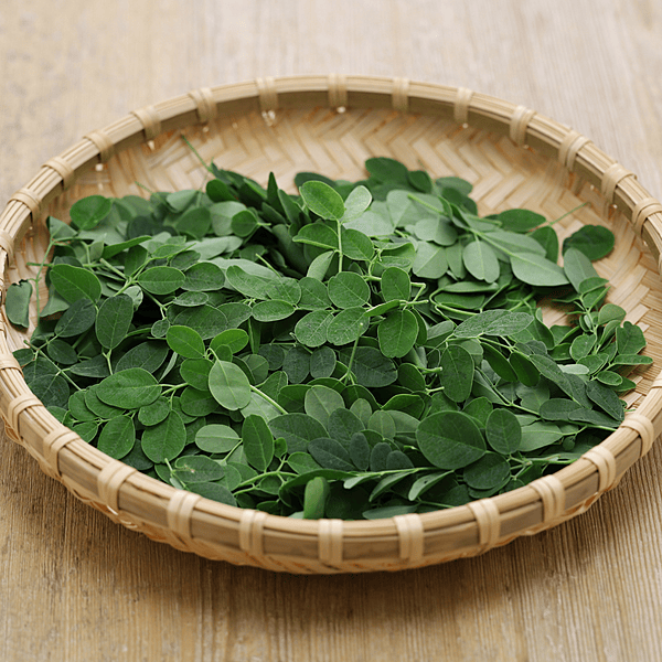 Moringa Export Analysis Report 2026 | Complete Market Intelligence & Strategy Guide