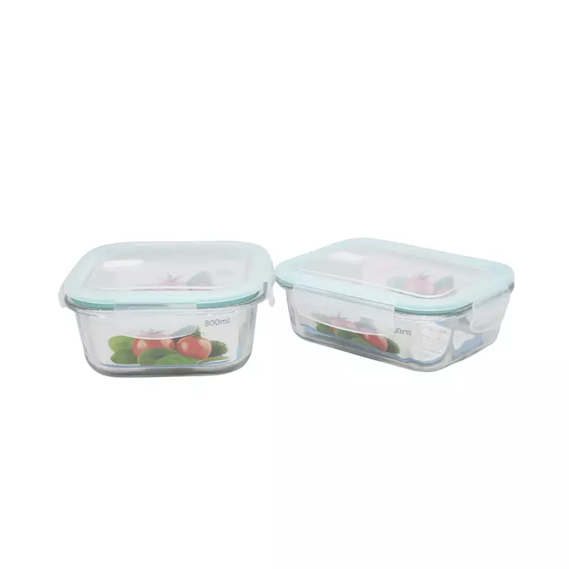700ml Borosilicate Glass Lock & Lock Rectangle Oven Safe Glass Container