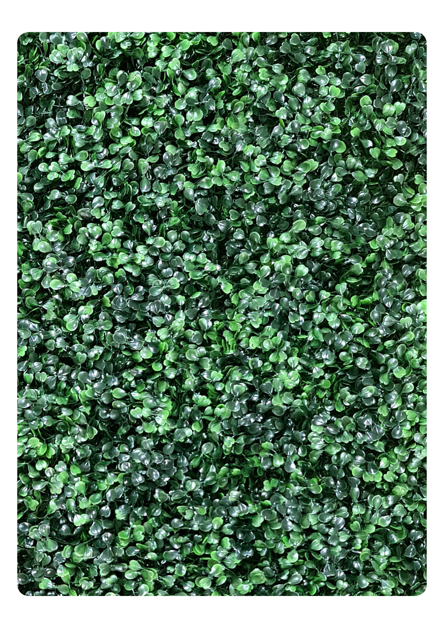 Artificial Veritical Garden 2301