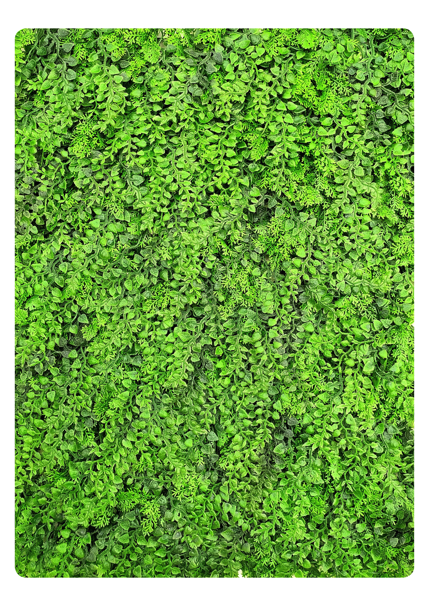 Artificial Veritical Garden 2310