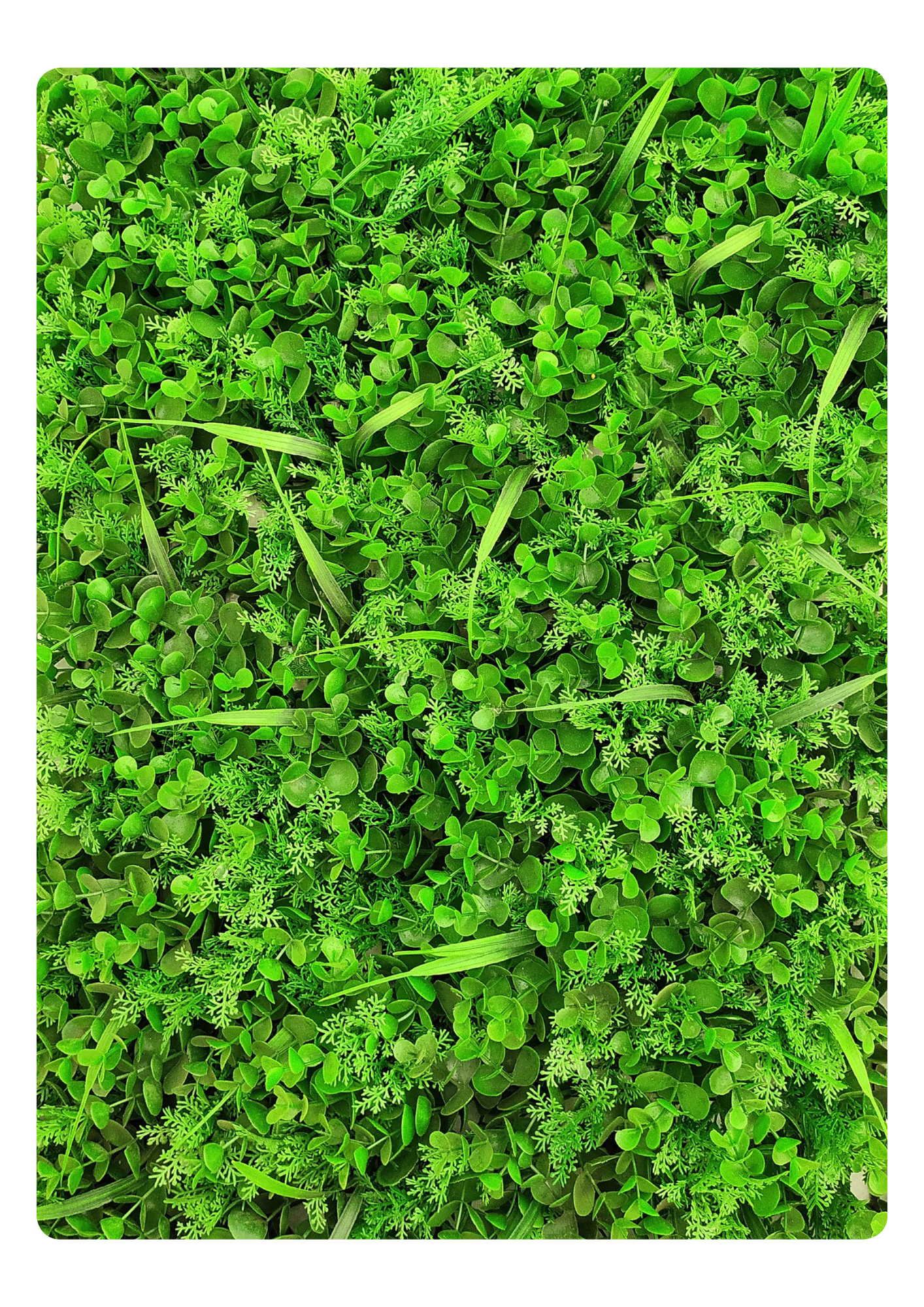 Artificial Veritical Garden 2311