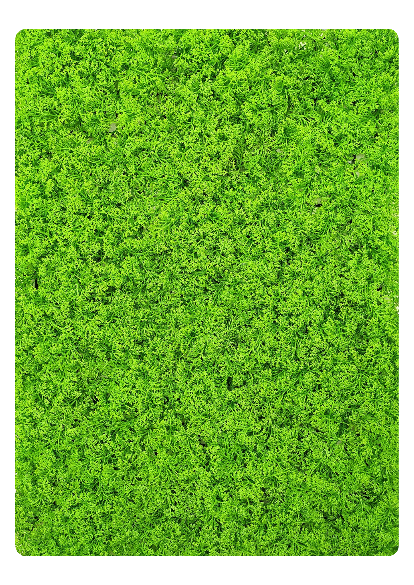 Artificial Veritical Garden 2312