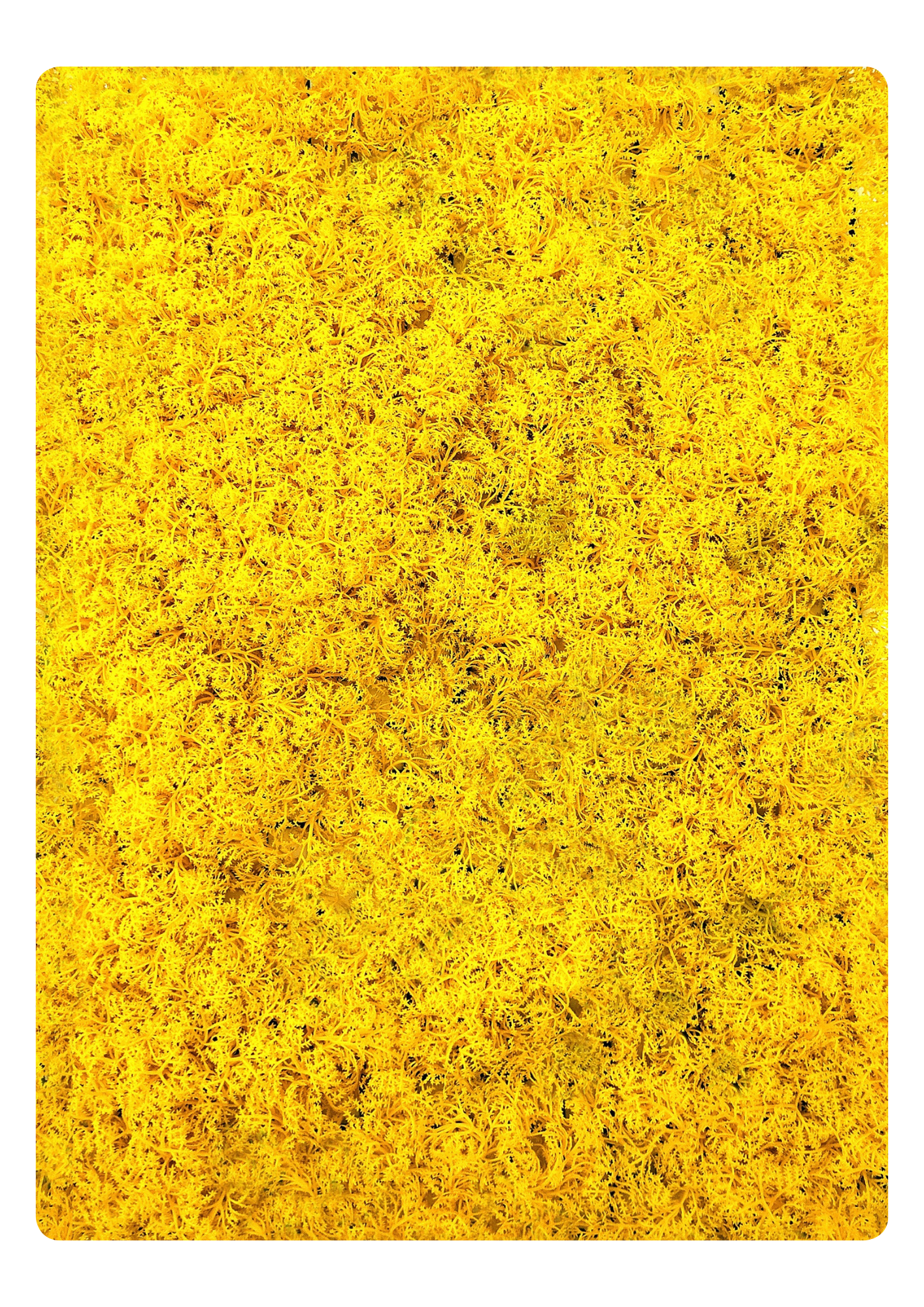 Artificial Veritical Garden 2313