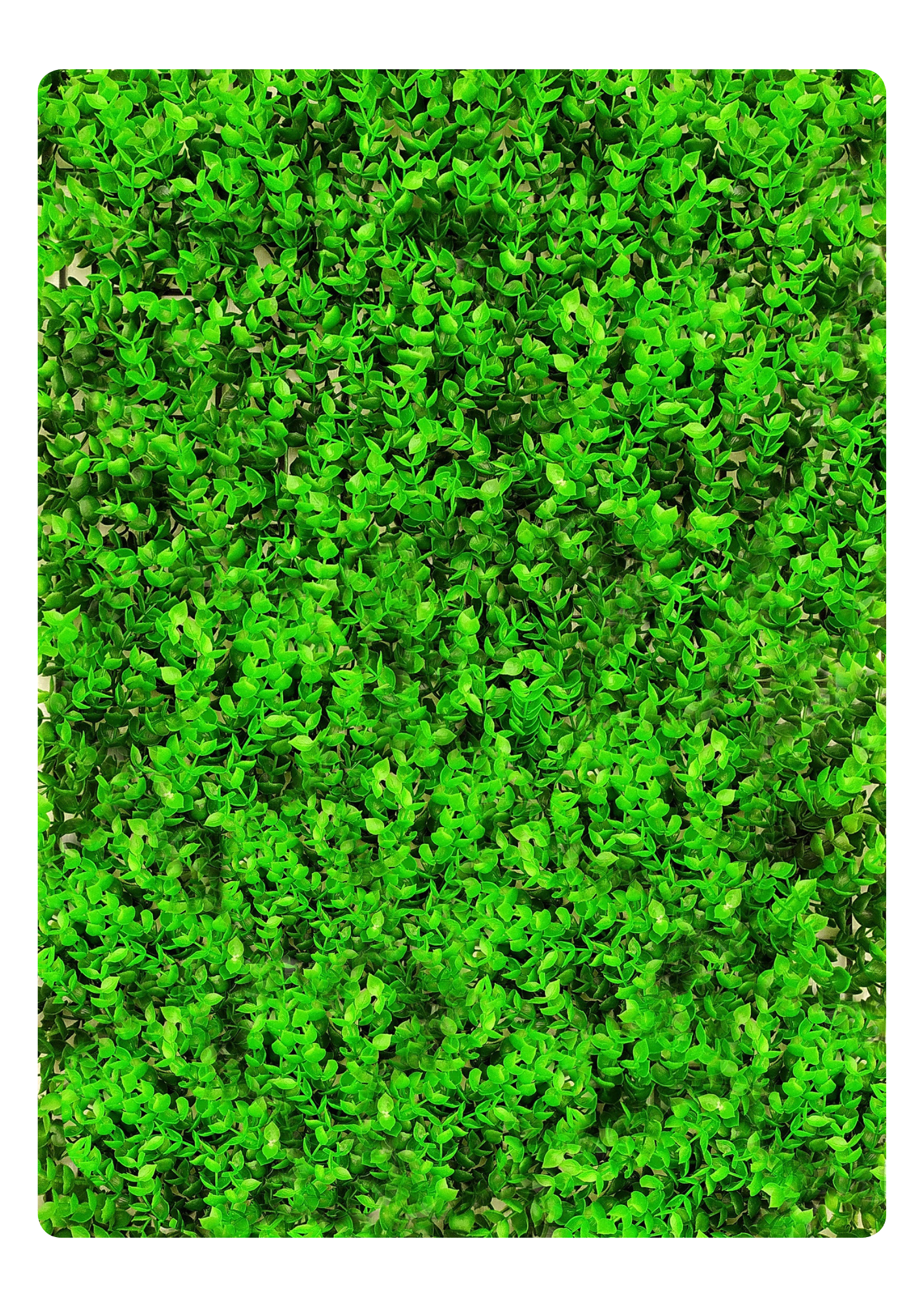 Artificial Veritical Garden 2303