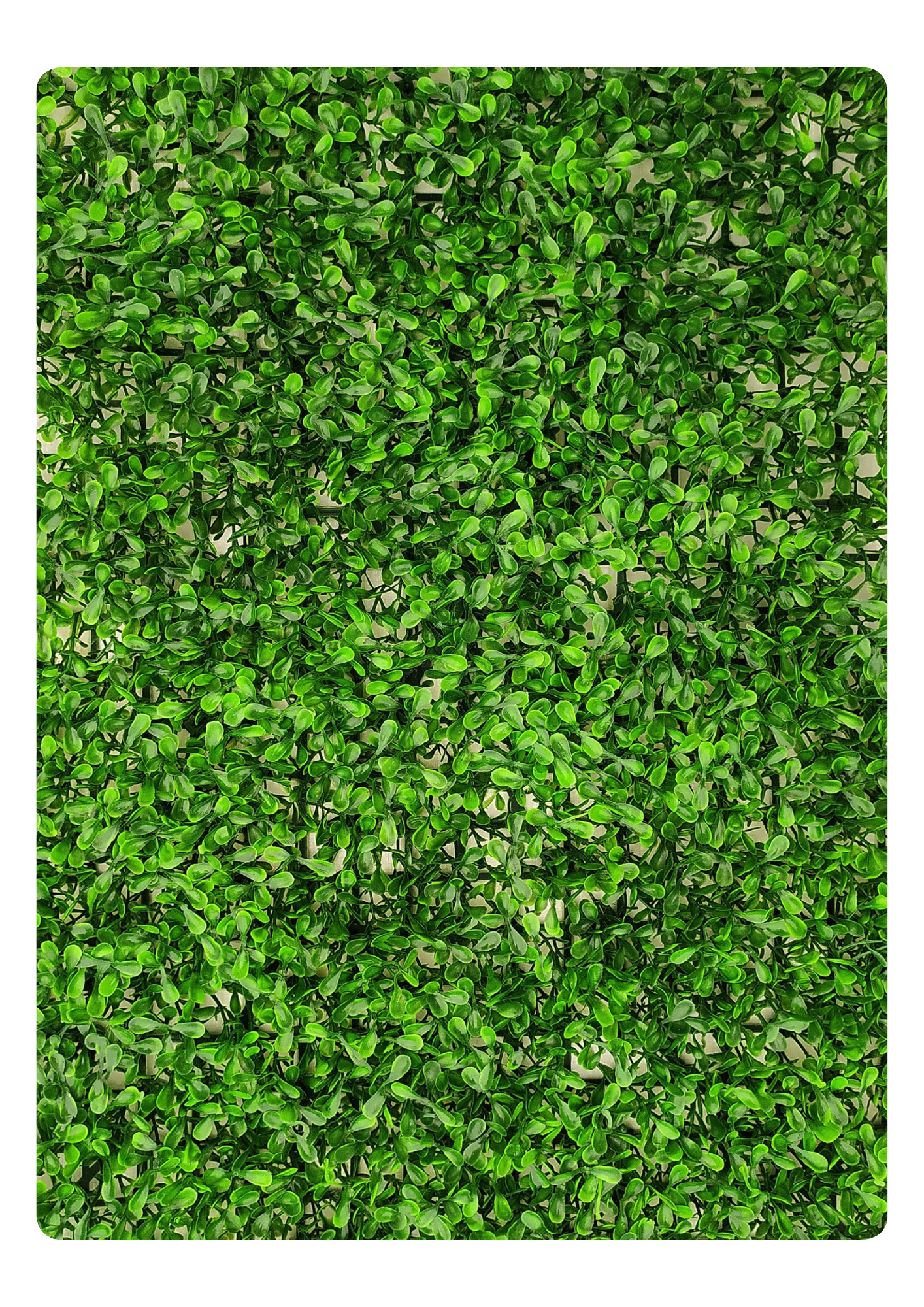 Artificial Veritical Garden 2304