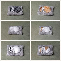 Sleeping Cat