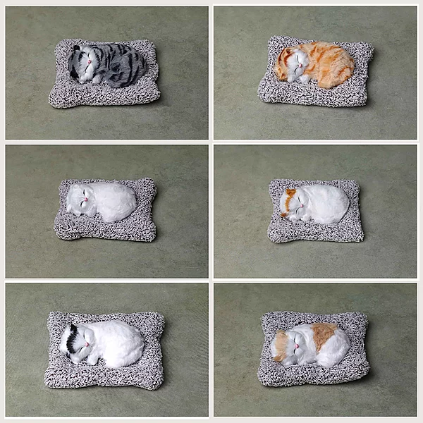 Sleeping Cat