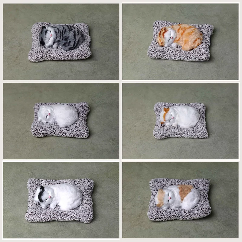 Sleeping Cat