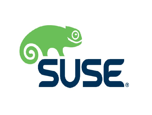 Suse Linux Enterprise Server for SAP ( 2soc/2 VMs) w/LP Priority (1yr) ESD (874-006905)