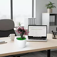 Artificial Flower Plant with Red Leaves