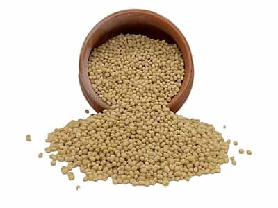 Organic Urad Gota/Whole Organic Urad Gota/Whole