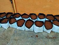 Hydroponics & Soilless Cultivation Systems Training