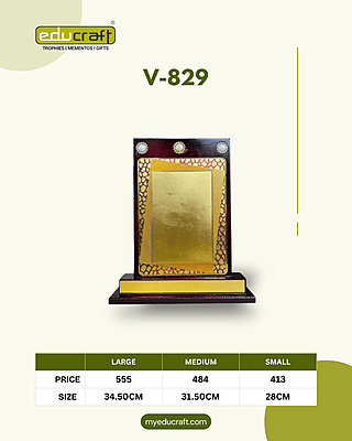 V-829M NO:2 31.7CM 18%