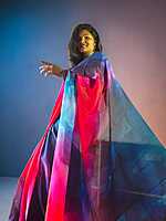 Vaidyuta (वैद्युत) — The Electric Flame