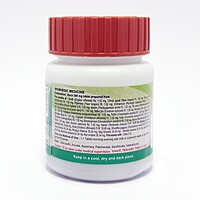 Divya Mahayograj Guggul 60 N-20 g