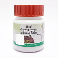 Divya Gokshuradi Guggul-95 g