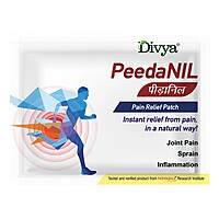 Peedanil Pain Relief Patch-21 g