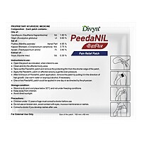 Peedanil Pain Relief Patch-21 g