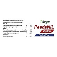 Peedanil Pain Relief Patch-21 g