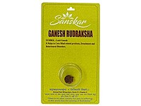 GANESH RUDRAKSHA  WITHOUT CAP-PAUDJWKPJS2015217