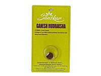 GANESHA RUDRAKSHA  WITH CAP-PAUDJWKPJS1915163