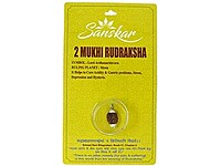 2 MUKHI RUDRAKSHA WITH CAP-PAUDJWKPJS2015200