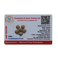 RUDRAKSH WATER BEADS-PAUDJWKBDS1915179