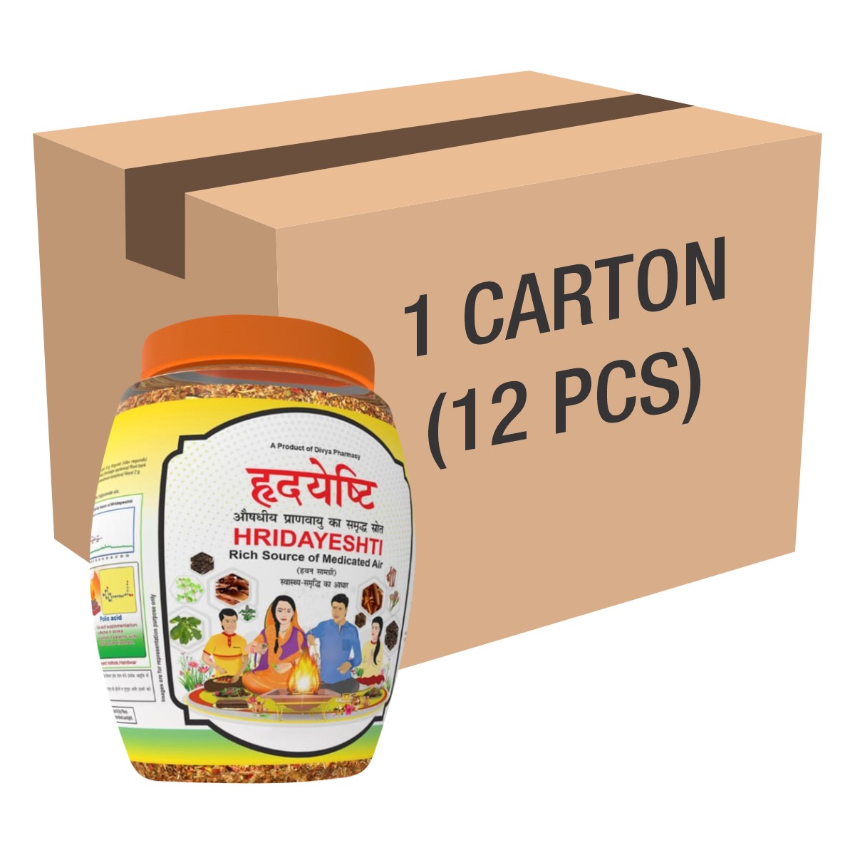 Divya Hridayeshti (Hawan Samagri)400g 1 CLD (12 Pcs)-4.8 kg