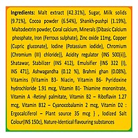 Patanjali Herbal Powervita Plus - Refill-500 g