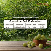 Patanjali Amla Juice-1 ltr