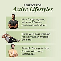 Patanjali Nutrela Green Plant Protein Chocolate Flavour-500 g