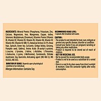 Patanjali Nutrela Daily Active Capsule (pack of 3)-67.5 g