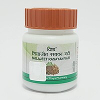 Divya Shilajeet Rasayan Vati 60Tab-40 g