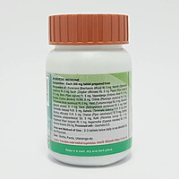 Divya Punarnavadi Mandoor 120 N-42 g