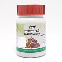 Divya Sanjeevani Vati 160 N-42 g