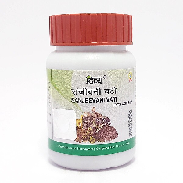 Divya Sanjeevani Vati 160 N-42 g