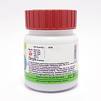 Divya Udramrit Vati 40 Tab-11  g