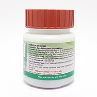 Divya Sanjeevani Vati-21 g